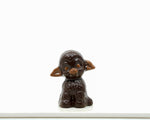 Petit mouton
